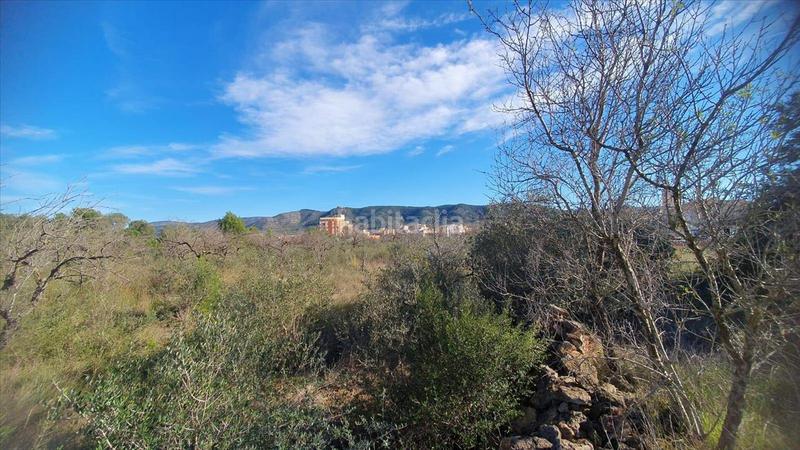 Foto bc557564-2591-429b-8f22-3d580c09094e. Terrain résidentiel dans Alcalà de Xivert