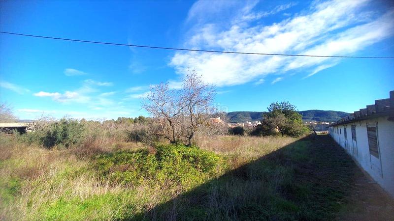 Foto d6fd6bf0-e434-4da4-ac6b-f0a9e294126a. Terrain résidentiel dans Alcalà de Xivert