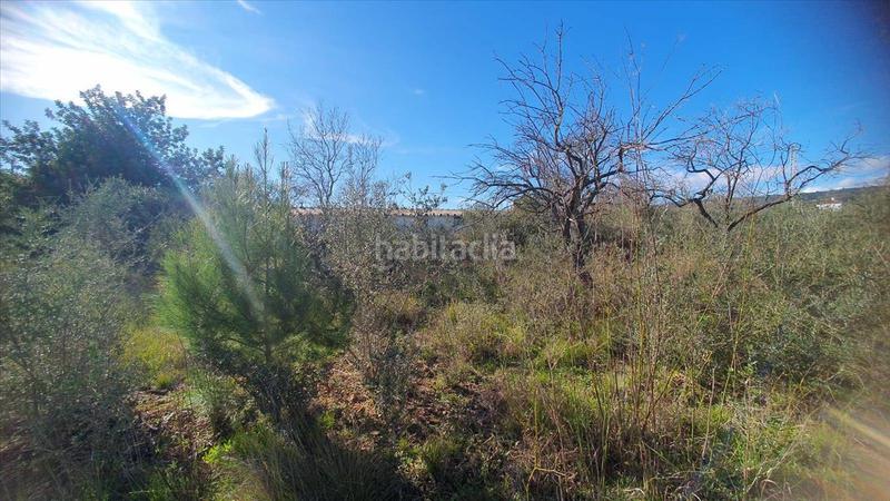 Foto f3111dbc-775b-4c04-b15d-dda9f89c6bbc. Terrain résidentiel dans Alcalà de Xivert