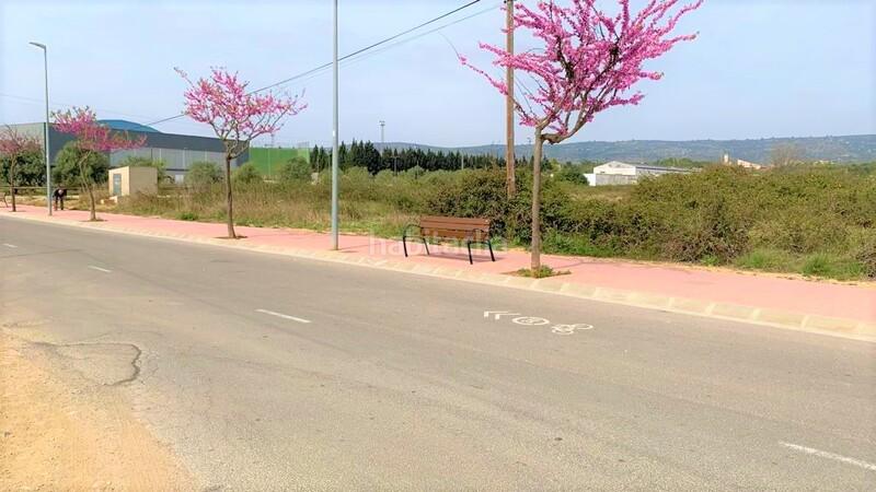 Foto a0002d15-9b3b-47c6-b73a-876770ff190d. Residential plot in Alcalà de Xivert