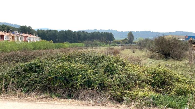 Foto 2e2a8e11-7db0-4d99-bfe0-d14a0228a254. Terreno residencial en Alcalà de Xivert