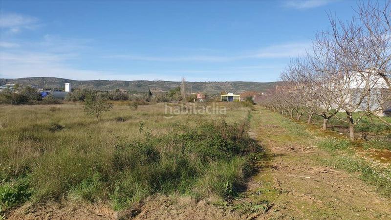 Foto 9bc099e2-3c27-4af4-a510-5e62d6ca4206. Terreno residencial en Alcalà de Xivert