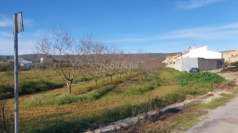 Foto ef38aef2-d66f-4919-a659-30224e12e261. Terreno residencial en Alcalà de Xivert