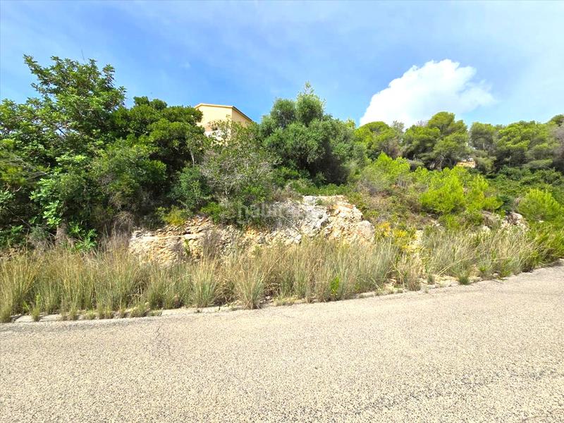 Foto 803f85fc-2c8f-452e-bb47-52d874a03608. Terreny residencial a costa Cunit - els jardins - els rosers Cunit