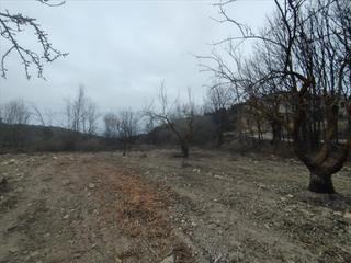 Residential Plot  Peralejo. jumilla