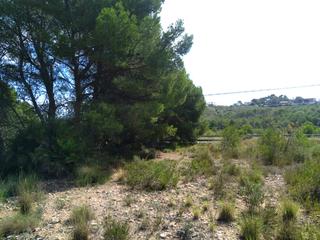 Terreno residenziale  Proc. simplificado