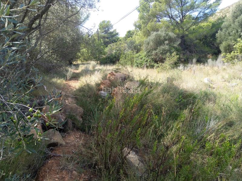 Foto 63ff651f-b015-4cfa-b6d7-ebfd87b5278f. Residential plot in El Balcó-Jaume I Oropesa del Mar