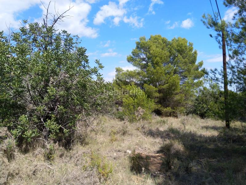 Foto 9d4d657e-ebaf-47dd-a35d-d5b8376b1a0c. Residential plot in El Balcó-Jaume I Oropesa del Mar