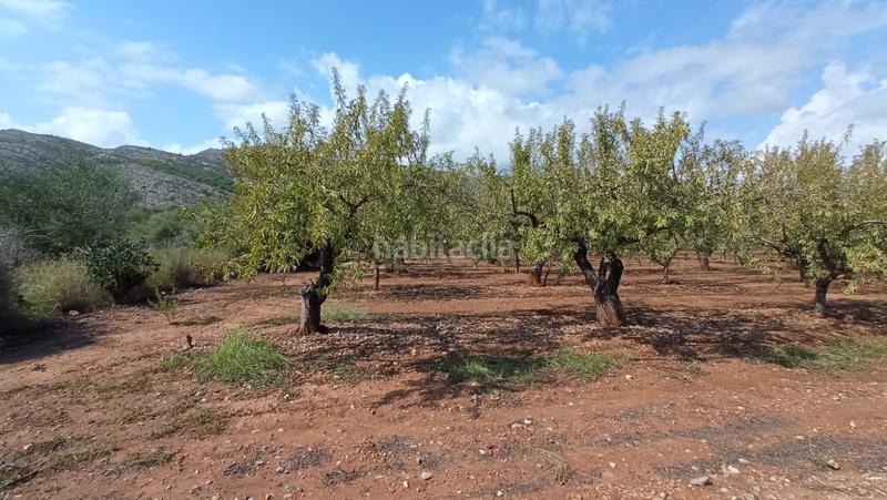 Foto a0e9d854-8a58-4658-9505-da0d04091d21. Residential plot in El Balcó-Jaume I Oropesa del Mar