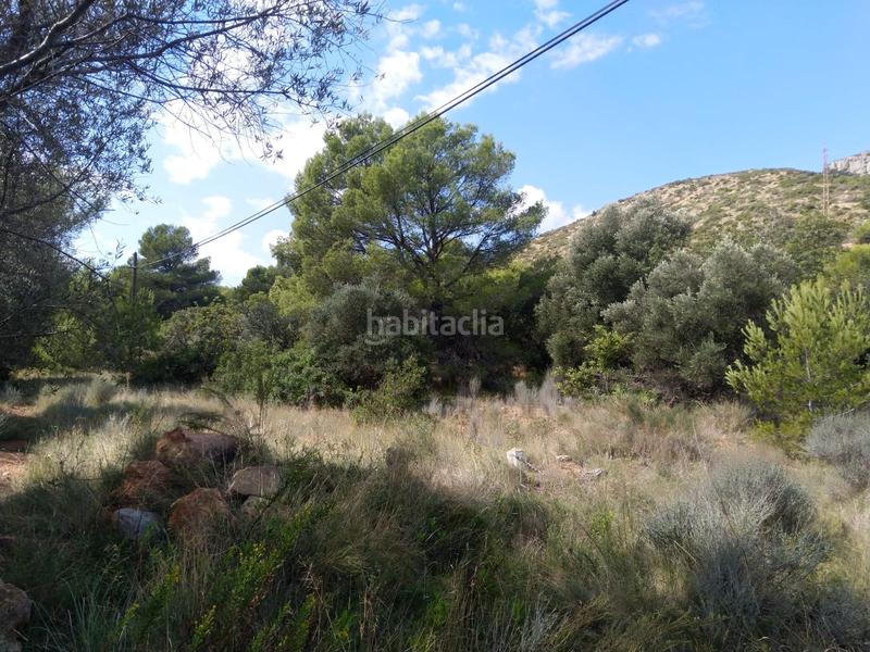 Foto a659c27f-7867-48e5-8d2c-4932d0a84eb9. Residential plot in El Balcó-Jaume I Oropesa del Mar