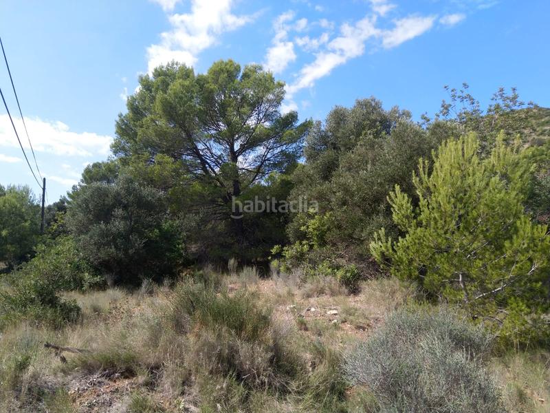 Foto aaec001e-e83f-48dd-a13d-09cdb6b81ff5. Residential plot in El Balcó-Jaume I Oropesa del Mar