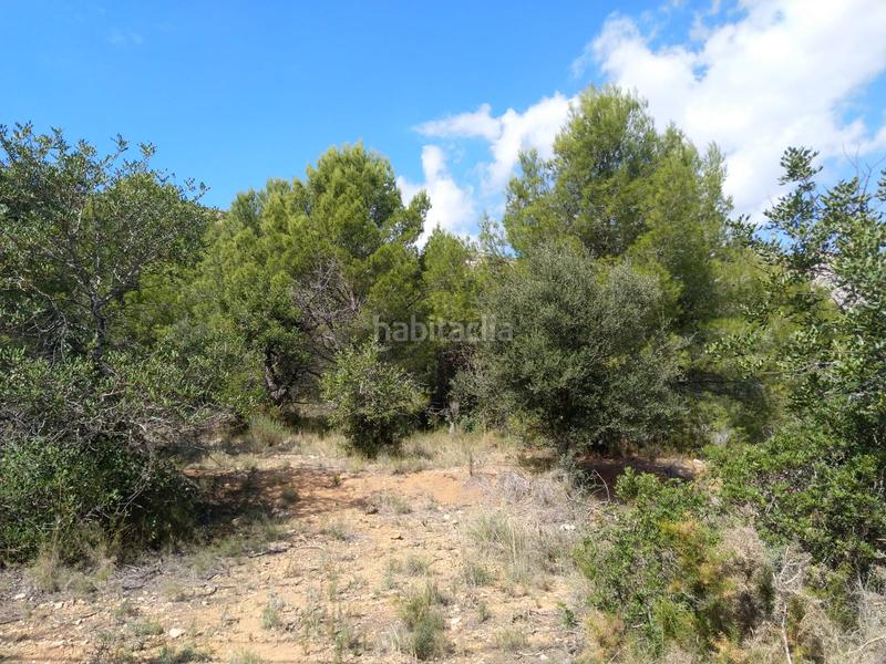 Foto d07937eb-563f-4b3d-a51b-03eade485088. Residential plot in El Balcó-Jaume I Oropesa del Mar