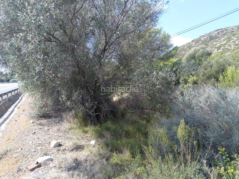 Foto e5deee3f-84f9-4f0b-a59e-9024487a6258. Residential plot in El Balcó-Jaume I Oropesa del Mar