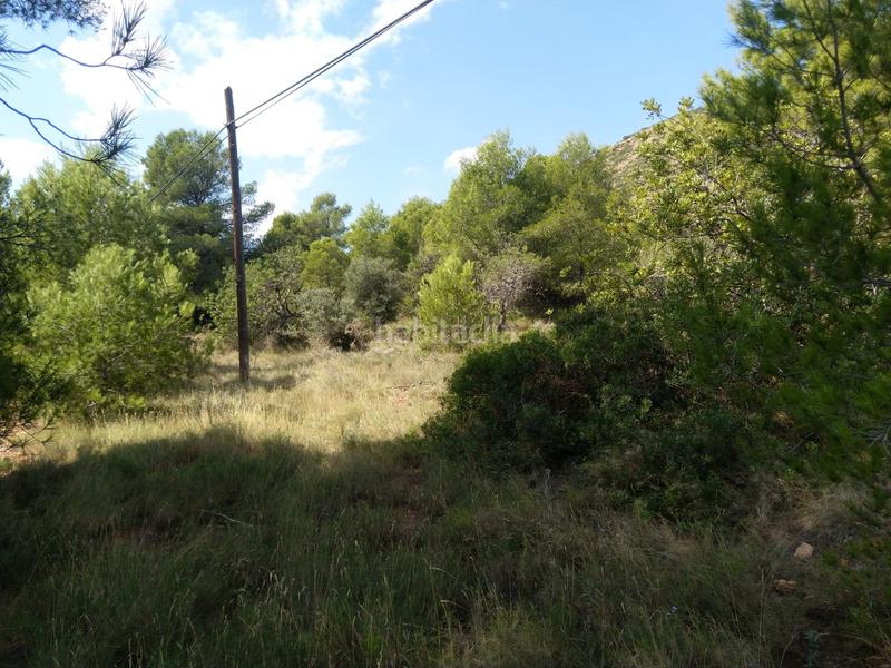 Foto f38e76c4-b3dc-4b79-8a20-9ef637a11f38. Residential plot in El Balcó-Jaume I Oropesa del Mar