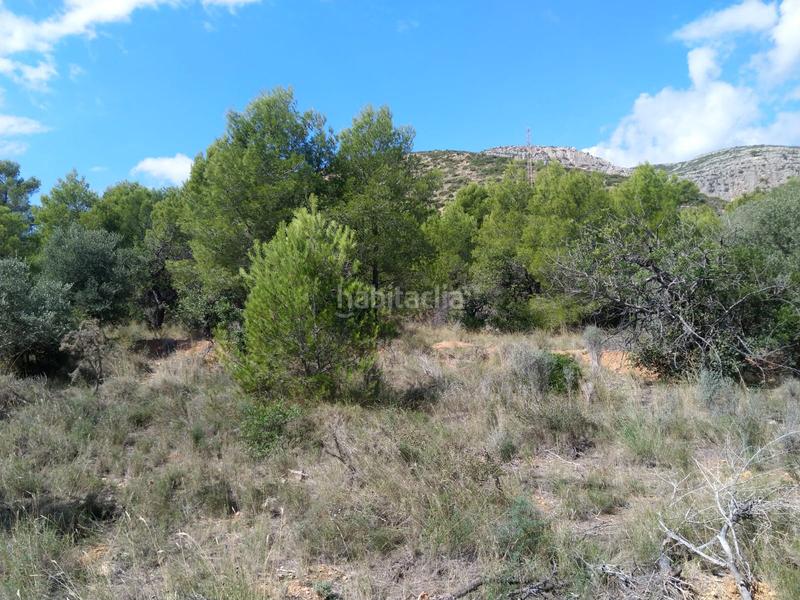 Foto f9c441d3-bcd7-4175-a265-16cf311d9af9. Residential plot in El Balcó-Jaume I Oropesa del Mar