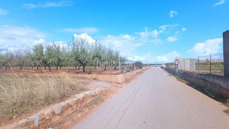 Foto c3548b11-b215-4a87-b4aa-eb6151648617. Terreny residencial a El Balcó-Jaume I Oropesa del Mar