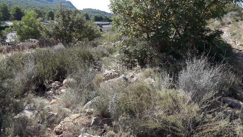 Foto cb2af136-4988-4d4d-9b9f-f966e83a7da1. Terreno residenziale in El Balcó-Jaume I Oropesa del Mar