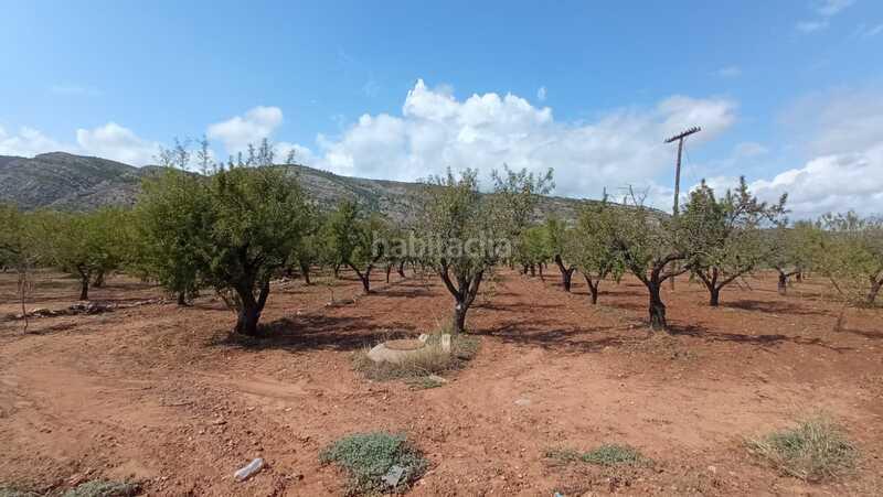 Foto a7792b60-8c1a-4955-a6ce-68ed03d9cd7f. Wohngrundstück in El Balcó-Jaume I Oropesa del Mar