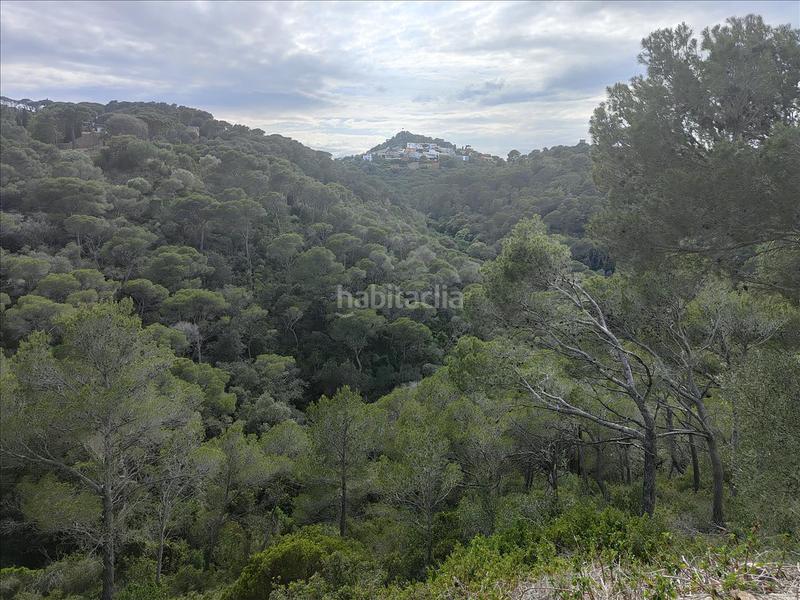 Foto 2118486f-f234-4a7f-b8d3-0b12b451b01e. Terreny residencial a Aiguafreda-Sa Tuna Begur