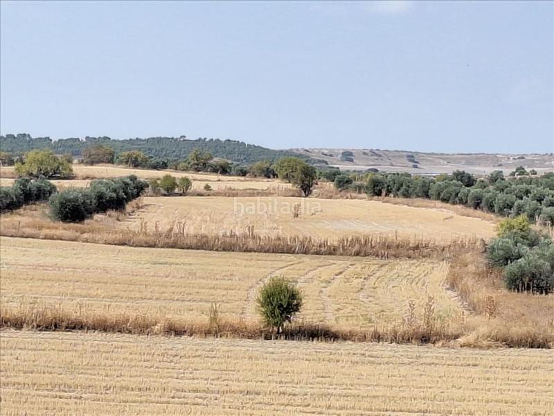 Foto 5aff137d-c62a-44ad-8118-4769484e8106. Terrain résidentiel dans Altos del Olivar-El Caracol Valdemoro