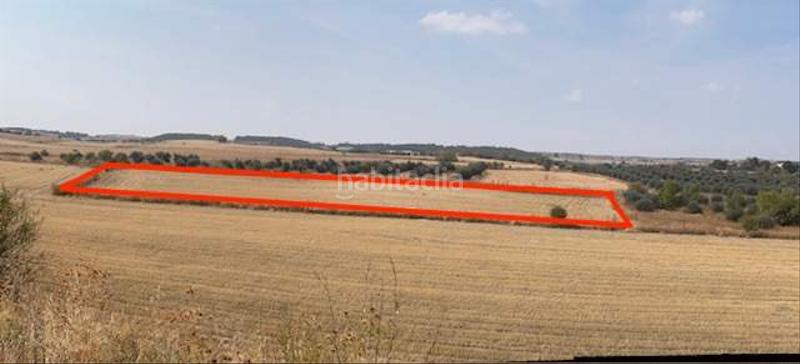 Foto a3be0e51-06cc-4971-b8d7-310a0dfffaf8. Terrain résidentiel dans Altos del Olivar-El Caracol Valdemoro