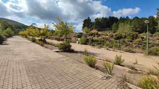 Residential Plot  Sector el belengueron