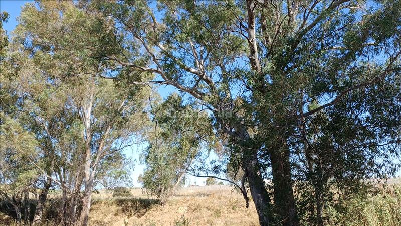 Foto 441a57de-775c-4ad8-a26b-8db0ebd48f9a. Terrain résidentiel dans Burguillos