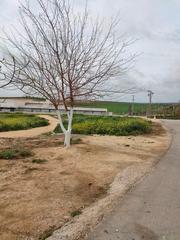 Terreny residencial  Pp-oe-r5
