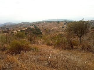 Terreny residencial  Órgiva