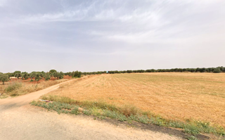Residential Plot  Snp-13 el castillo ii