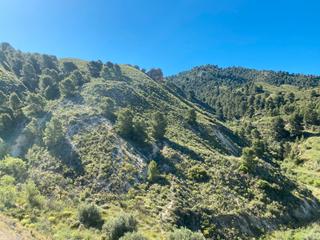 Residential Plot  79. parcela