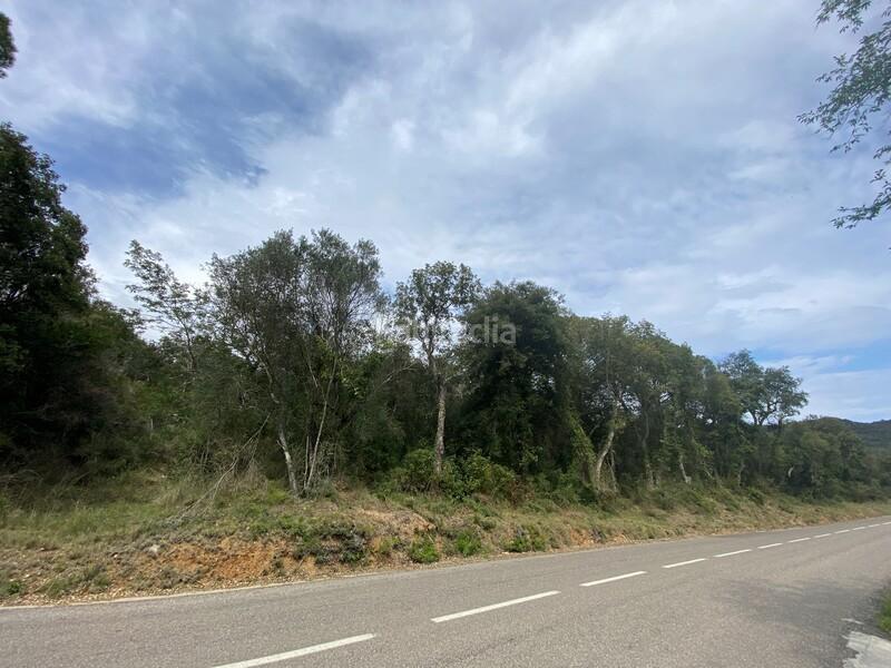 Foto 2b4df1b6-b306-4a7a-bdd7-d4607434b321. Terreny residencial a Cabanyes-Mas Ambrós-Mas Pallí Calonge