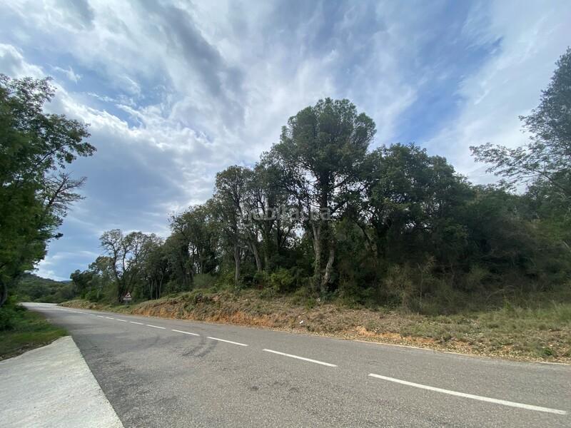 Foto 89b8a29c-ff2d-4149-9f19-6254b59e0506. Terreny residencial a Cabanyes-Mas Ambrós-Mas Pallí Calonge