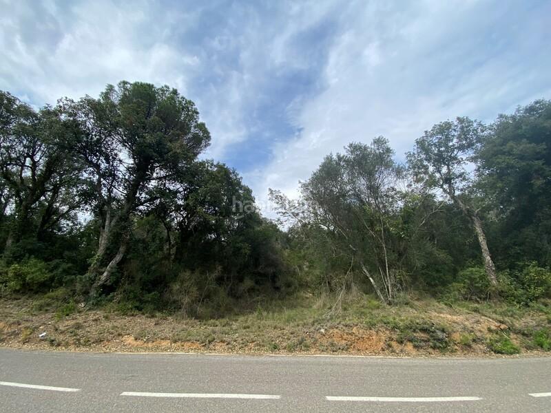 Foto a13ad012-dbfd-4337-b879-594c2da4d6df. Terreny residencial a Cabanyes-Mas Ambrós-Mas Pallí Calonge
