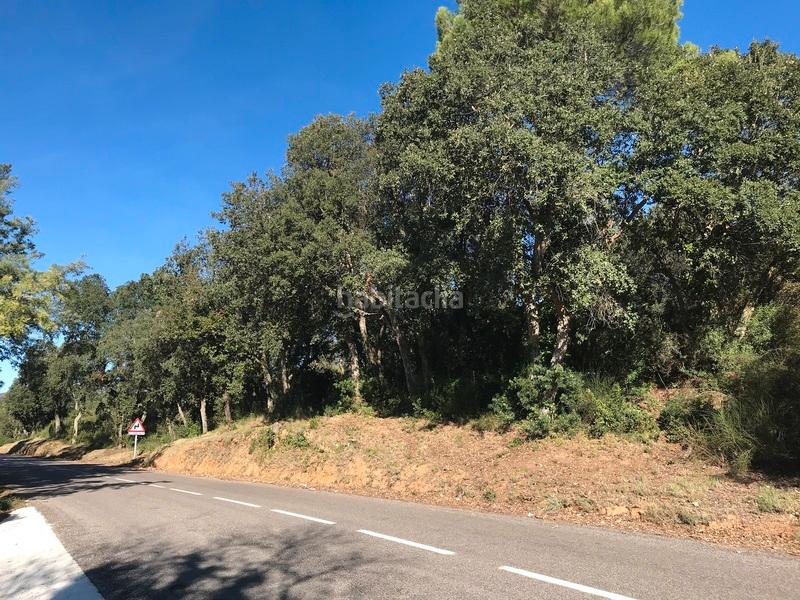 Foto cc53dfcc-8fe5-4b99-92ab-a807e4048022. Terreny residencial a Cabanyes-Mas Ambrós-Mas Pallí Calonge