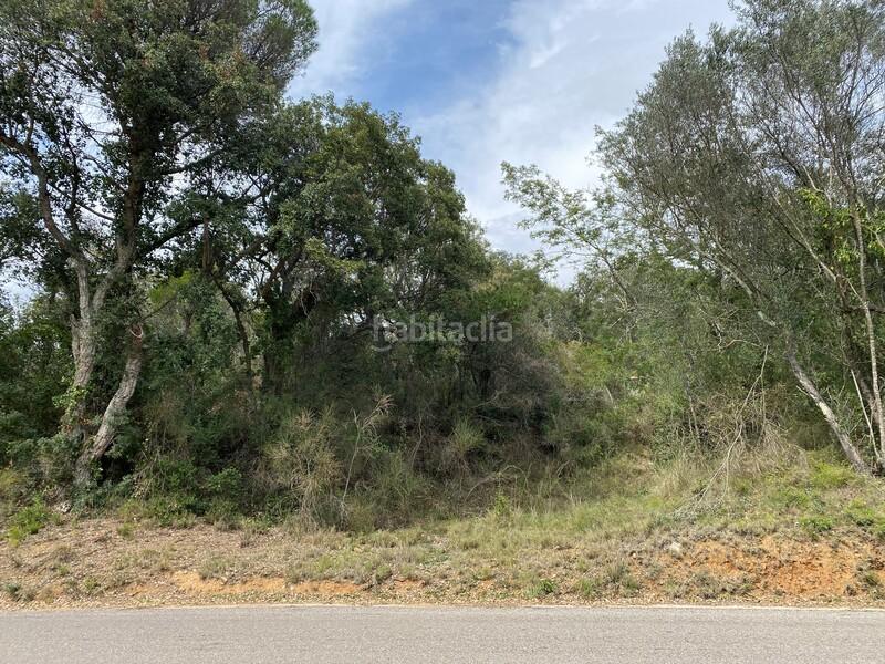 Foto 4482644c-7593-4a3b-9547-cb3575fe6cfe. Terreno residenziale in Cabanyes-Mas Ambrós-Mas Pallí Calonge