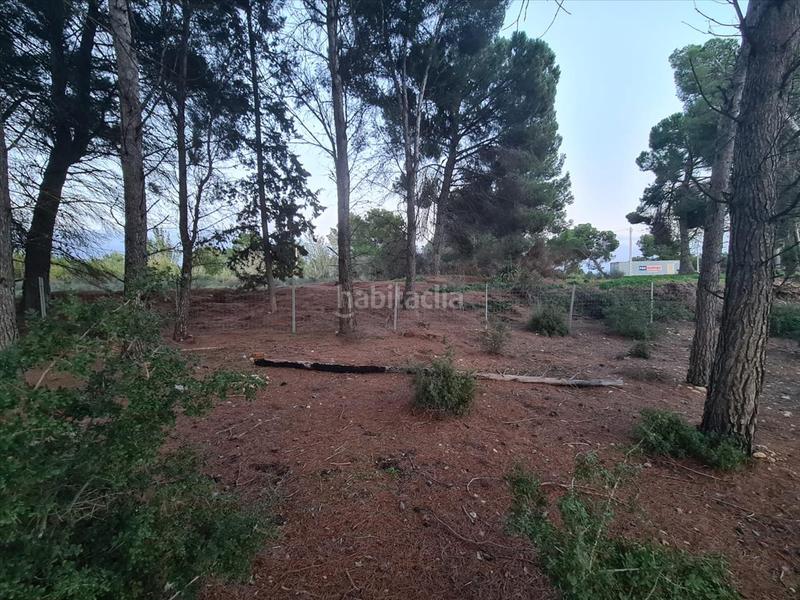 Foto 58b3d8e5-b1cb-43dd-a4fa-97cbc86fef4c. Terreno residencial en La Cerdera Lleida