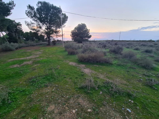 Terreny residencial  B cerdera alta