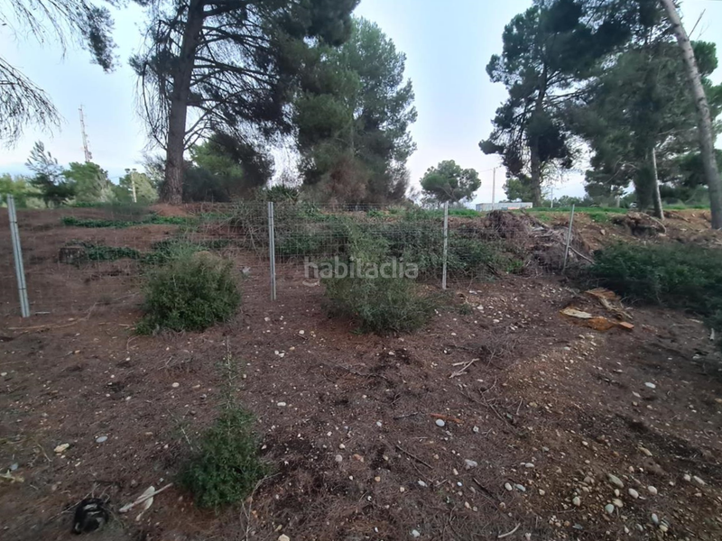 Foto bf5ae08b-e941-47eb-b8e0-3b8d7bffece2. Terrain résidentiel dans La Cerdera Lleida