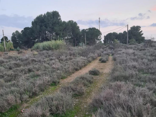 Residential Plot  B cerdera alta