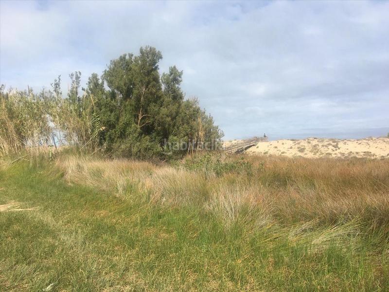 Foto 7d385e1d-cf5e-4d99-a752-c05d49a64664. Residential plot in El Dossel - Mareny de San Lorenzo Cullera