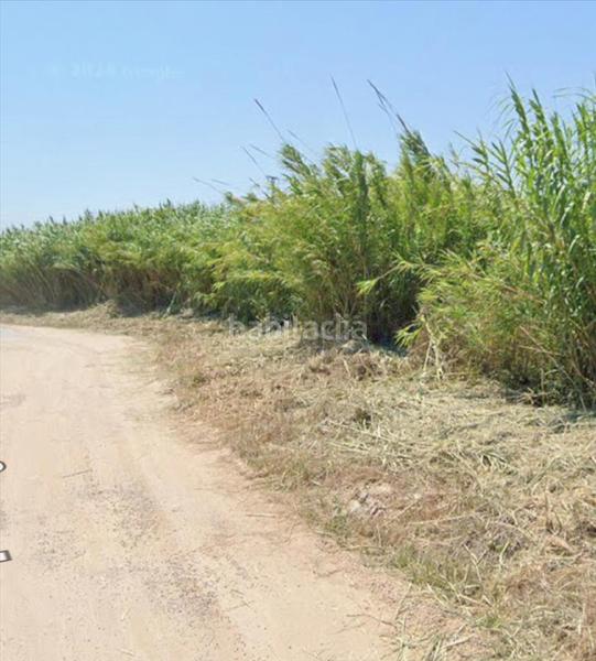 Foto b571fb34-7485-4a30-b951-504c95eb3afd. Terrain résidentiel dans El Dossel - Mareny de San Lorenzo Cullera