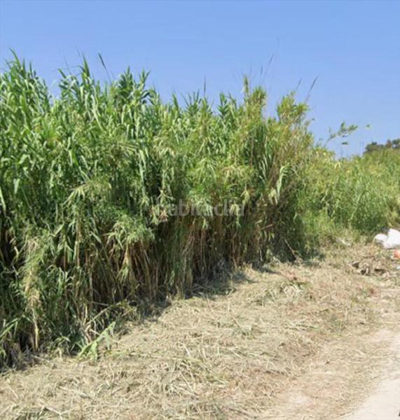 Foto 0c7cc216-fa2b-45da-81f0-4bcc5c45d72c. Wohngrundstück in El Dossel - Mareny de San Lorenzo Cullera