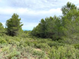 Terreny residencial  Cumbres valencia f2 y f4