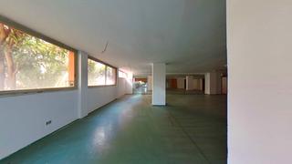 Business premise  Freixa