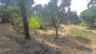 Terrain résidentiel  Cm campamento