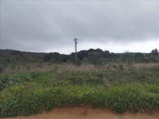 Residential Plot  Maria a. alberti vendrell