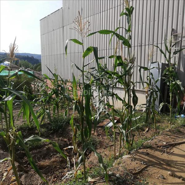 Foto 21ed8368-c2d0-445e-93d9-8f1eba83a9e9. Terrain résidentiel dans Roda de Ter