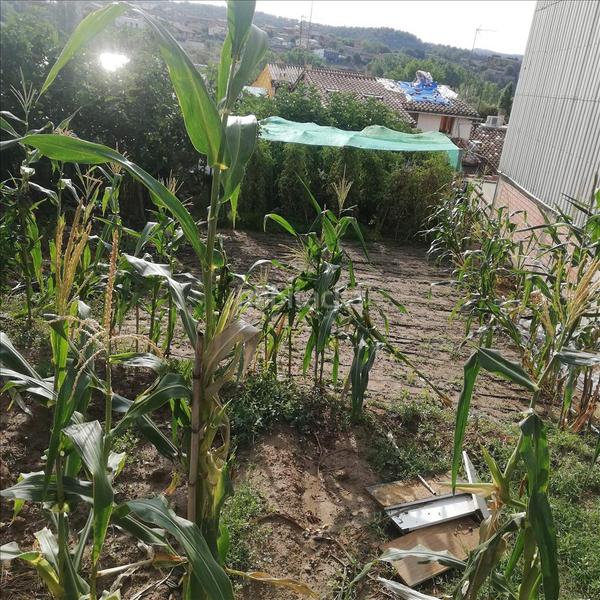 Foto 81b6158c-0d0f-43da-b44b-79dbc243e703. Terrain résidentiel dans Roda de Ter