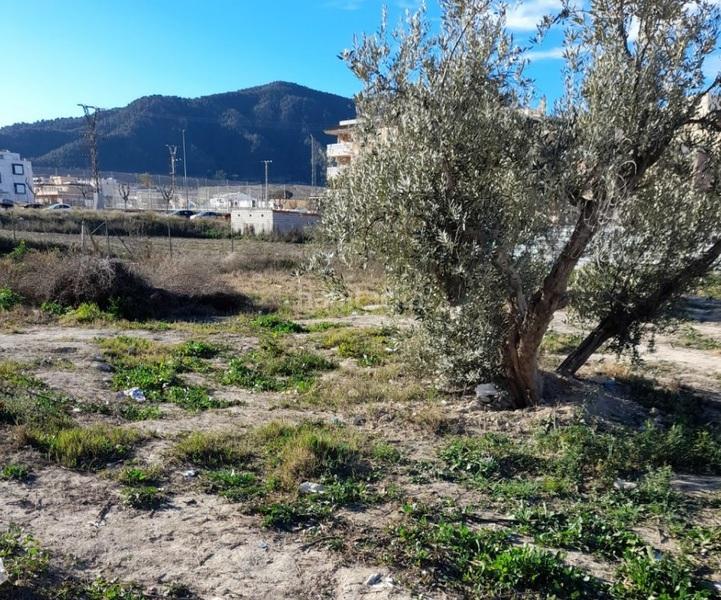 Foto f08986ee-c3eb-44ed-ad6e-4d10503f8030. Terreny residencial a Beniaján Murcia